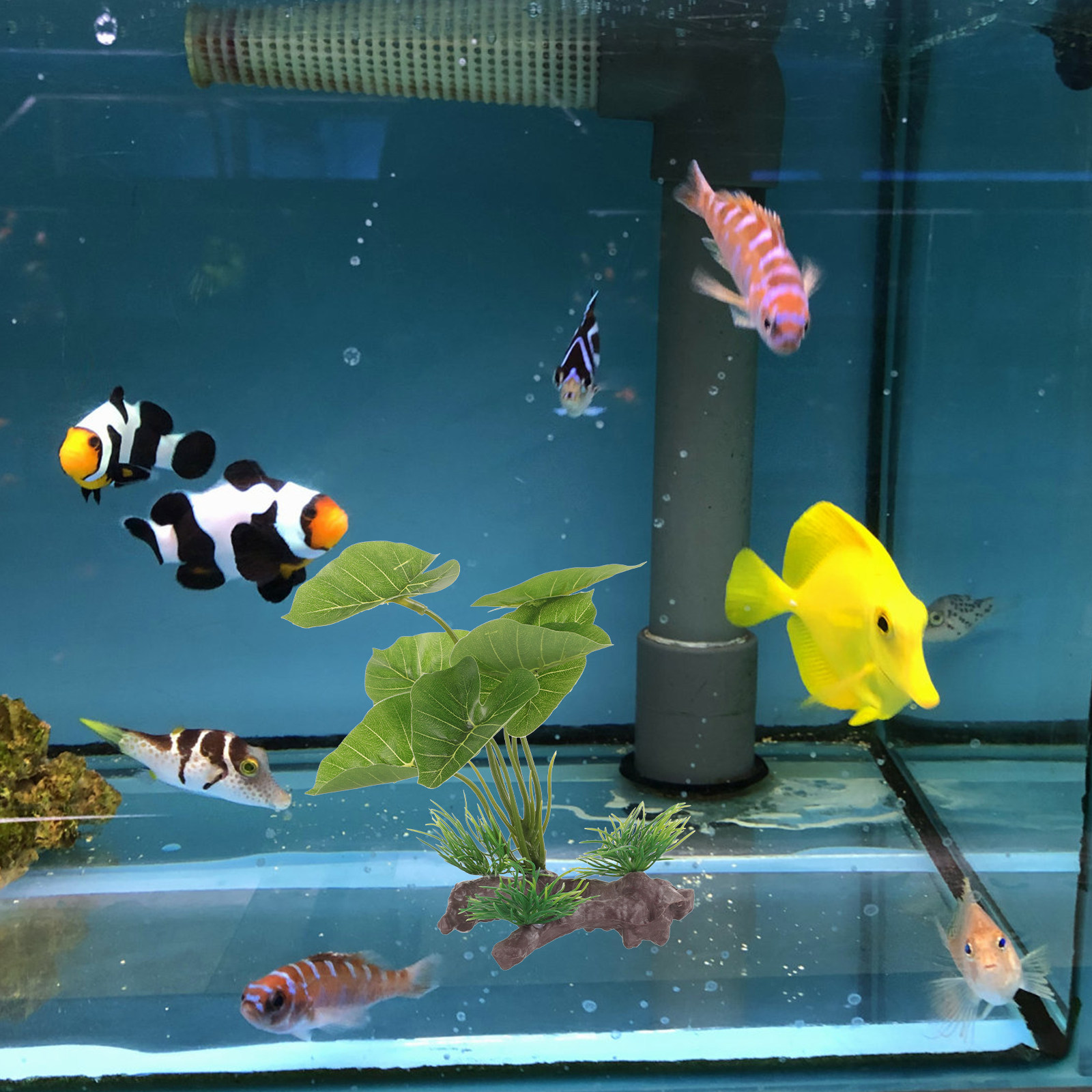 Planted Aquarium Care - Gerçekçi Plastik Akvaryum Bitkileri, Betta Balık
