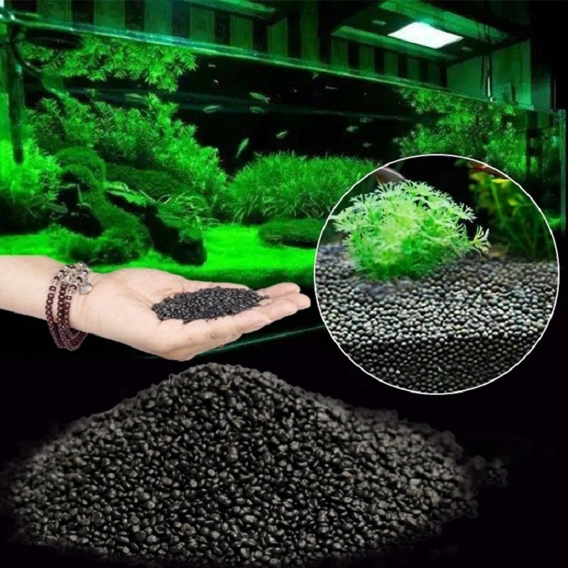 Planted Aquarium With Sand - Balık Tankı Su Çim Çamur Bitki