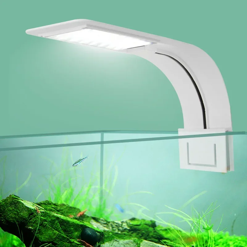 Planted Aquarium Pictures - Ultra Ince LED Akvaryum Işık 5