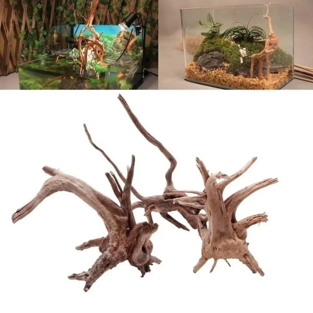 Aquarium Plants - 15-20CM Doğal Kök Ağacı Akvaryum Dekoru