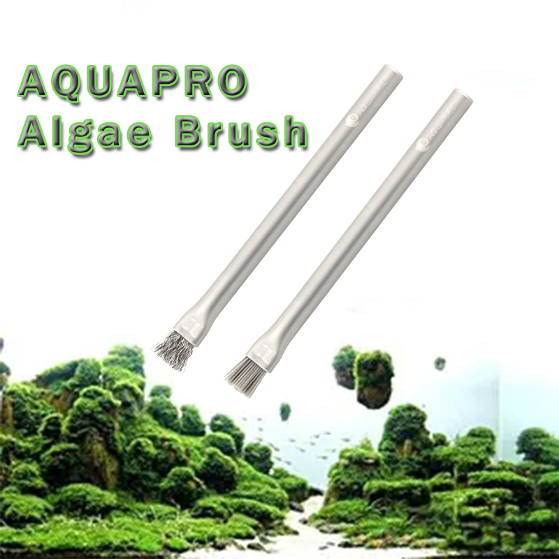 Planted Aquarium Ada - Aquapro Yosun Fırçası Akvaryum Aksesuarı Balık