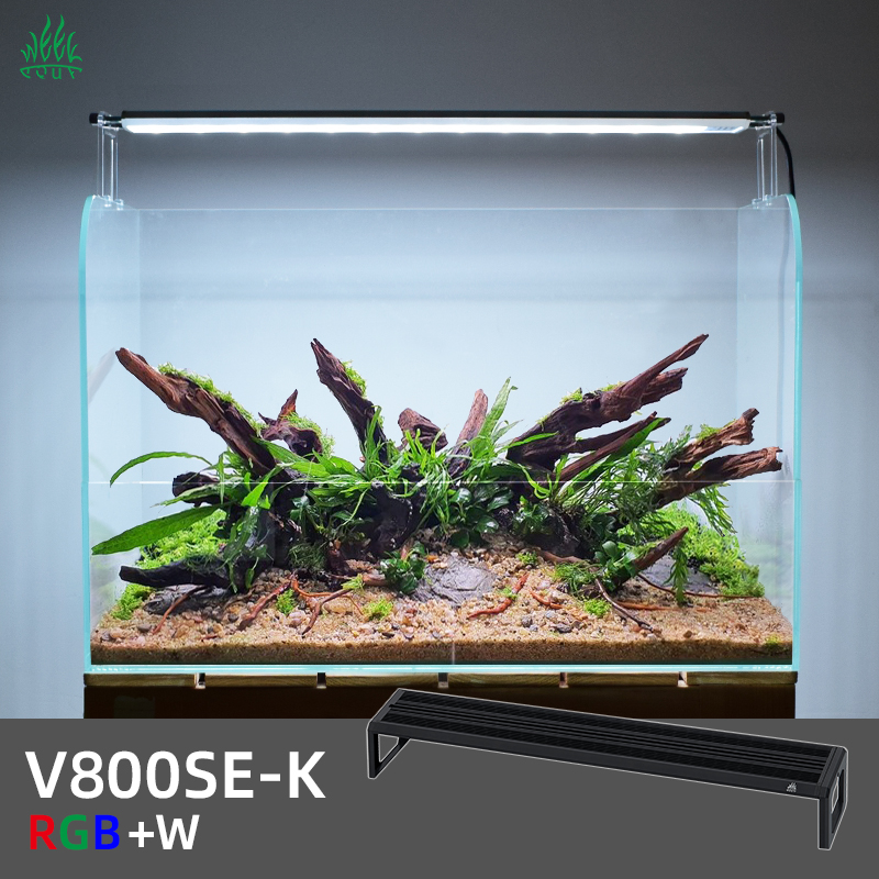 Planted Aquarium Ada - ZXY WEEK ADA Aynı Tip Su