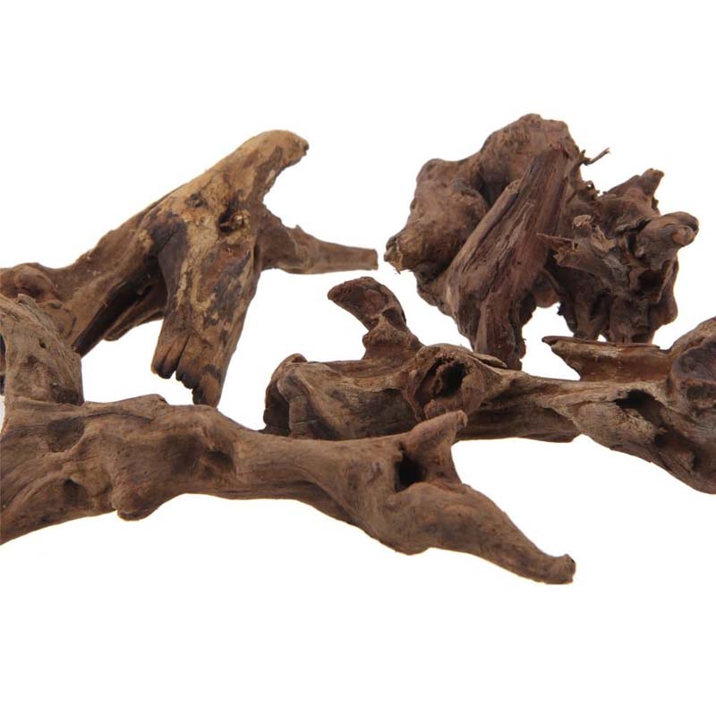 Planted Aquarium With Driftwood - 1PC Doğal Akvaryum Batanabilir Driftwood Balık