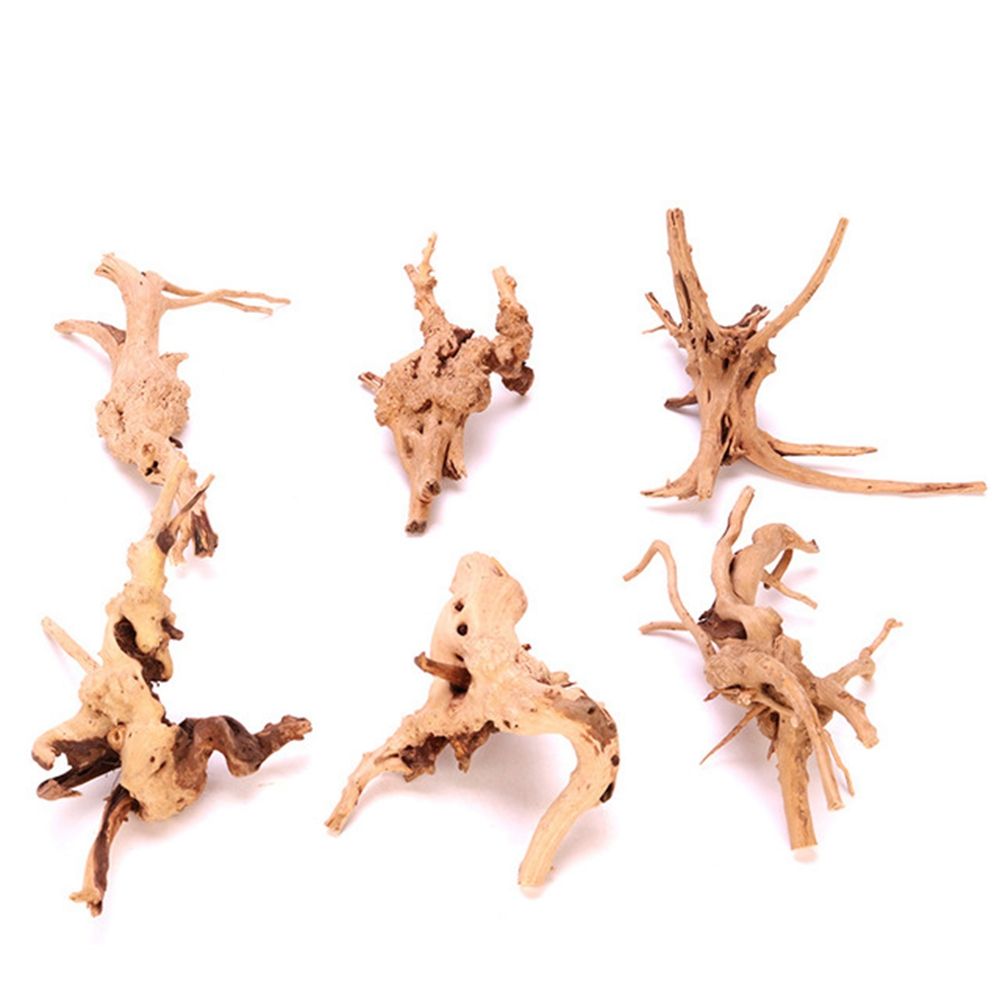 Planted Aquarium With Driftwood - Ahşap N1N Peyzaj Akvaryum Dekorasyonu Sürüngen