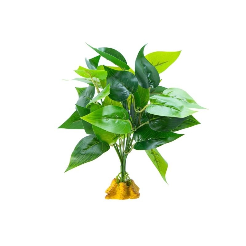 Planted Aquarium With Fish - Yapay Asma Bitki Balık Akvaryumları Dekorasyon