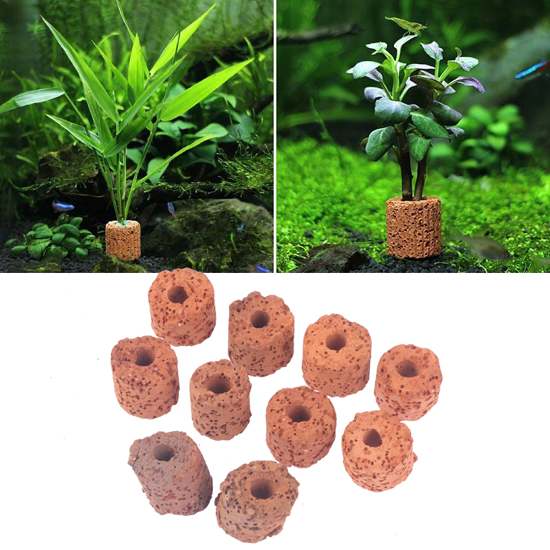 Aquarium Planted Setup - 10 adet Mini su bitkileri halkası