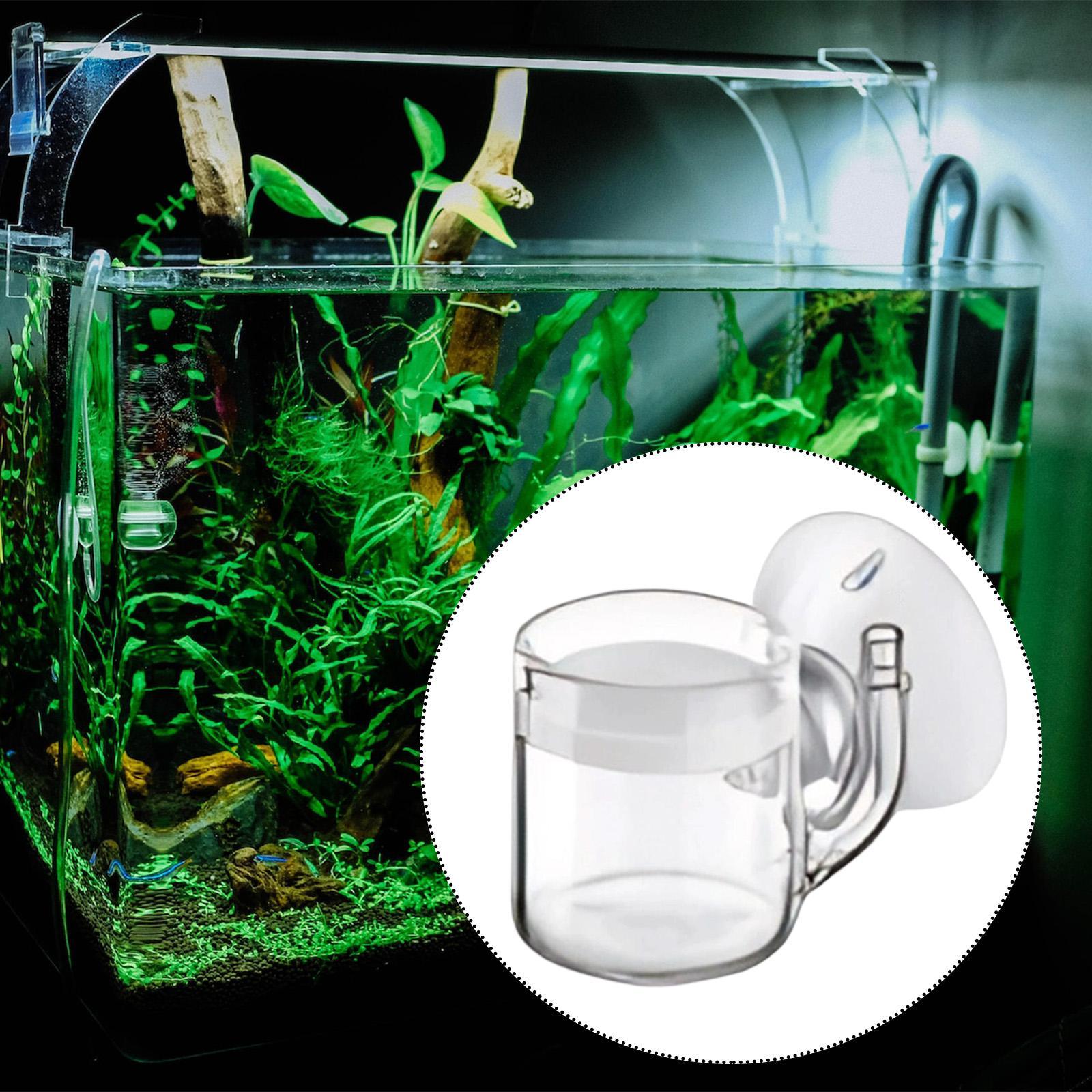 Planted Aquarium Care - Akvaryum Difüzör Camı CO2 Atomizer Balık