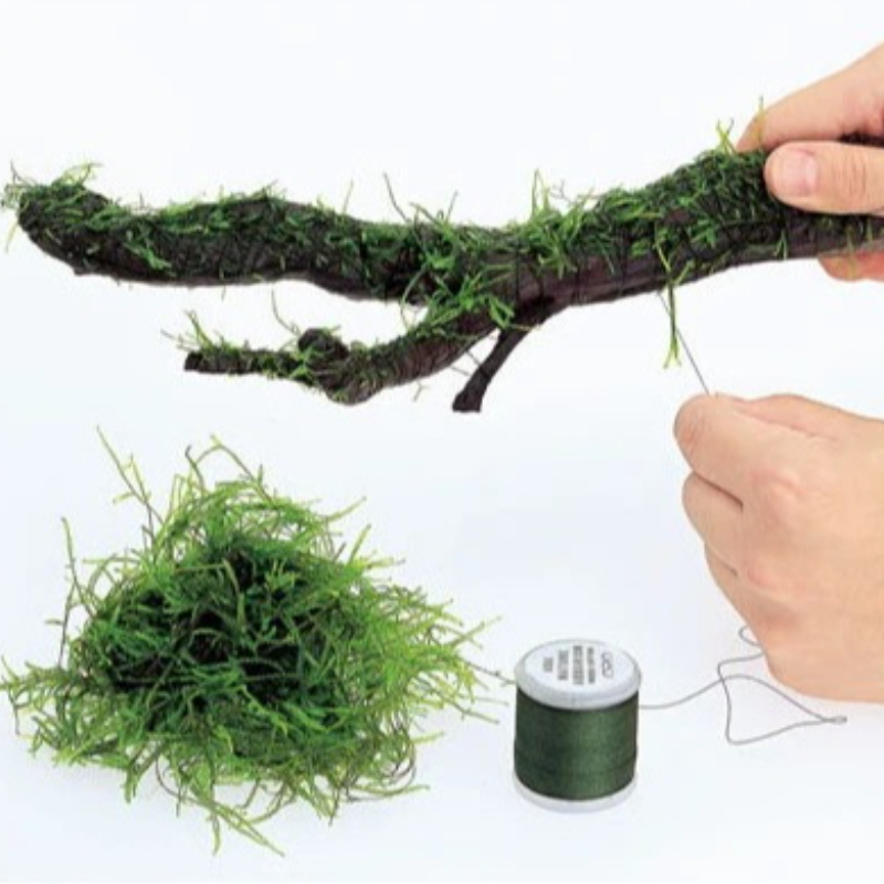 Planted Aquarium With Driftwood - Biyobozunur Akvaryum Yosun İpi 200m Akvaryum