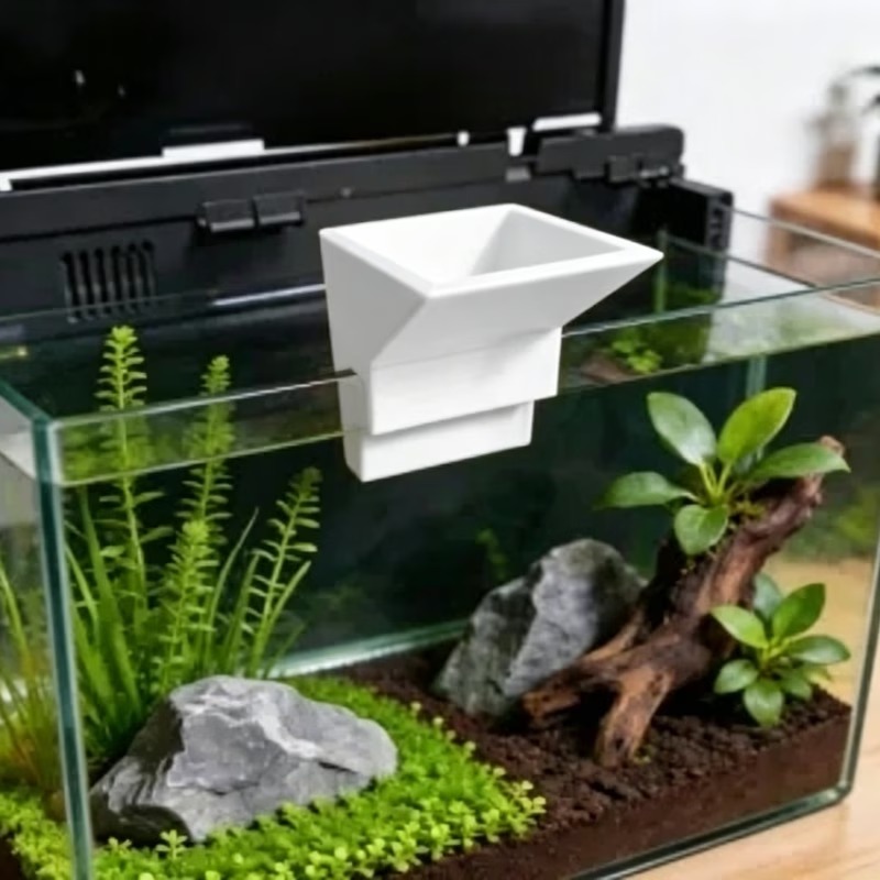 Aquarium Planted Setup - Küçük Bitkili Balık Tankı Peyzaj Düzenlemesi