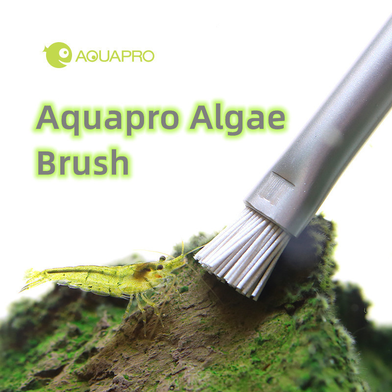 Planted Aquarium Ada - Aquapro yosun fırçası akvaryum balık tankı