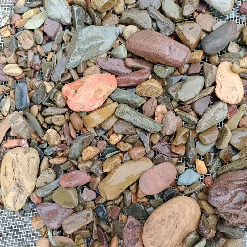 500g Balık Tankı Alt Kum Taşı  - Planted Aquarium With Sand incelemesi ve fiyatı