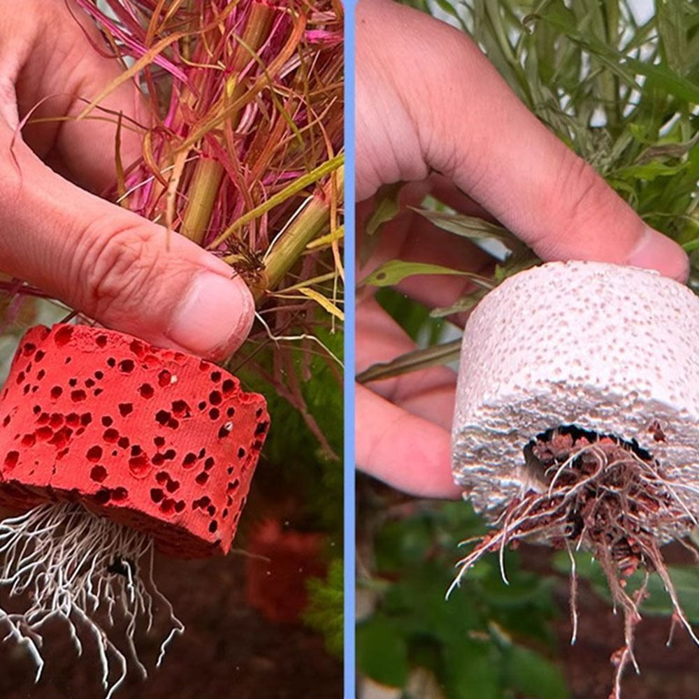10 adet ağırlıklı halka su bit - Planted Aquarium Pictures incelemesi ve fiyatı