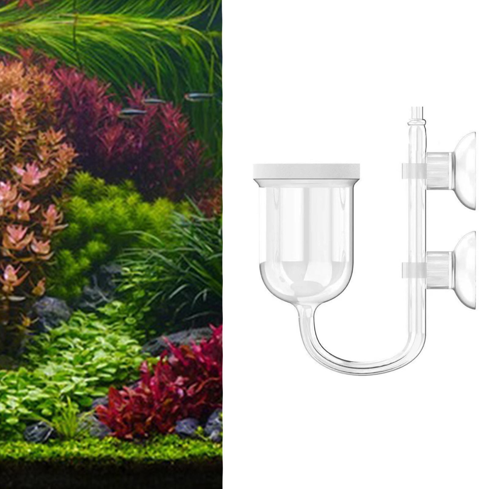Akvaryum Bitkileri için Entegr - Planted Aquarium Care incelemesi ve fiyatı