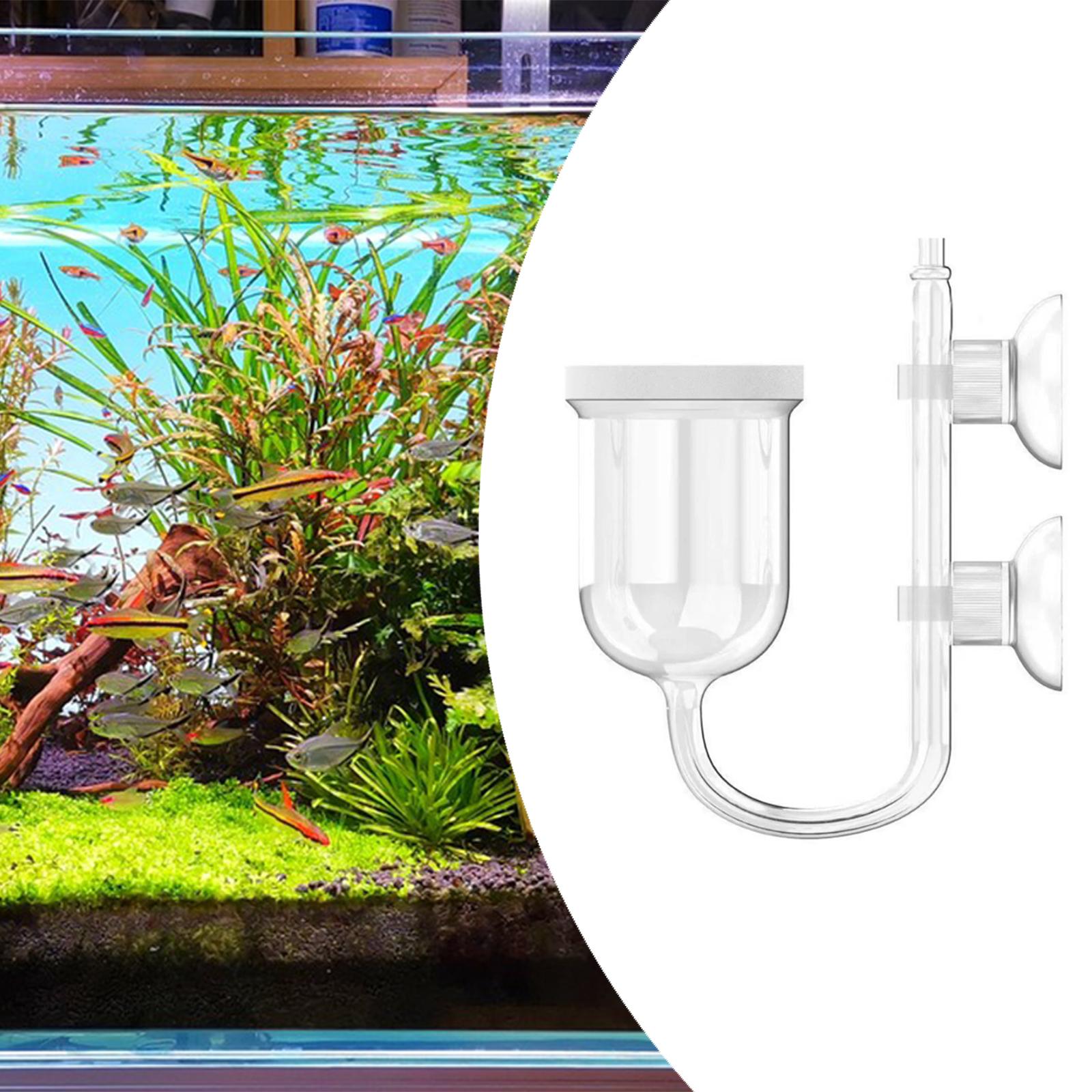 Akvaryum Bitkileri için Entegr - Planted Aquarium Care incelemesi ve fiyatı