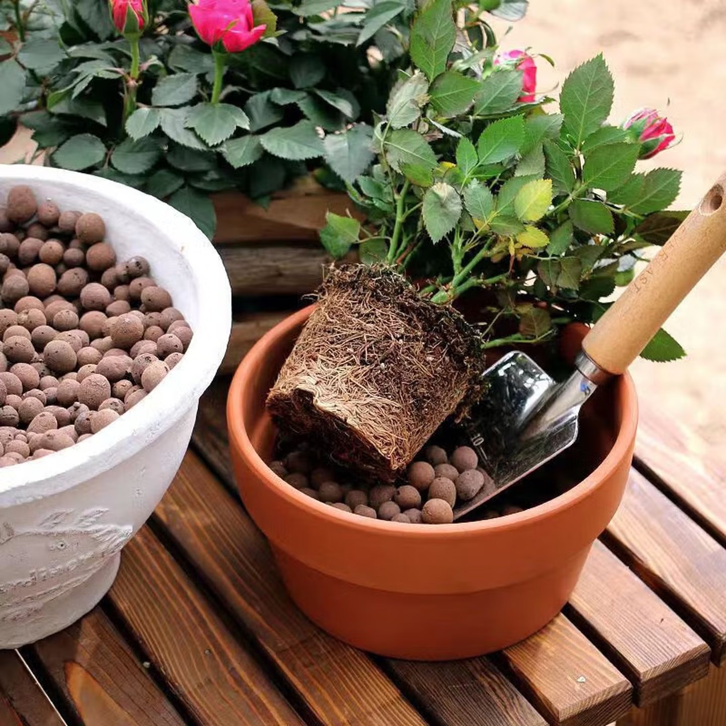 100-500g Yeniden Kullanılabili - Aquasoil Substrate incelemesi ve fiyatı