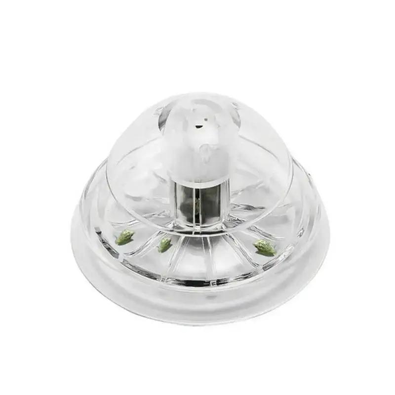 2026 Yeni 6/8CM Şeffaf Plastik - Planted Aquarium With Fish incelemesi ve fiyatı