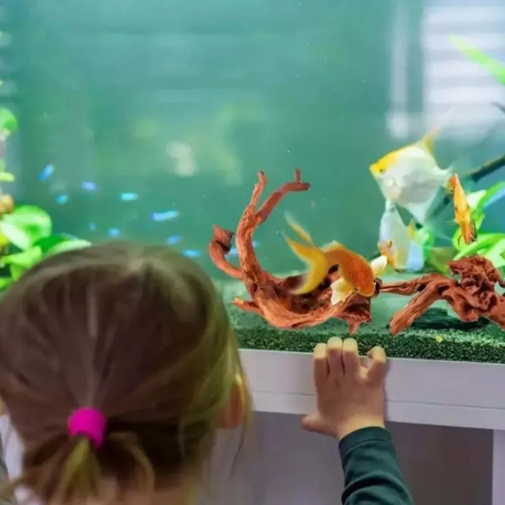 Yeni Doğal Küçük Ağaç Gövdesi  - Planted Aquarium With Driftwood incelemesi ve fiyatı