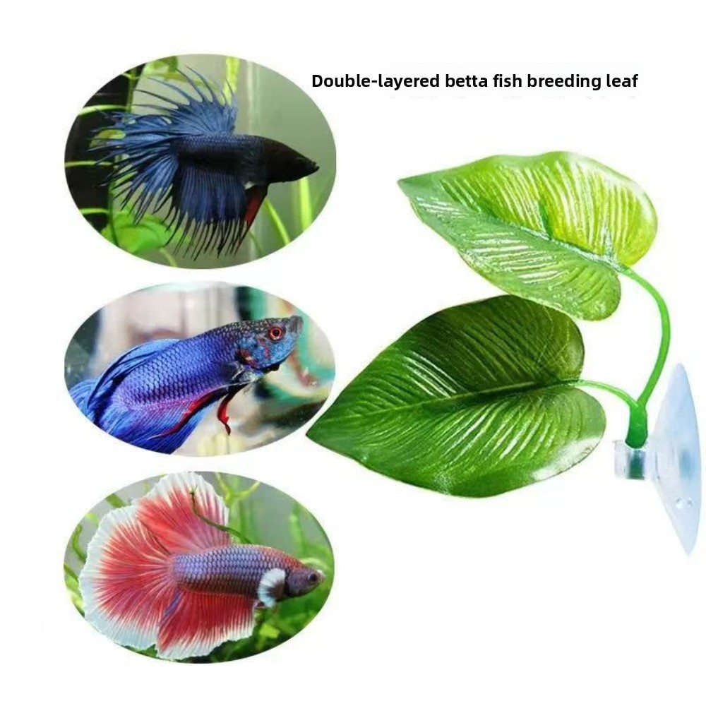 1/3/5/10 Betta Akvaryumu Yapay - Aquarium Planted Setup incelemesi ve fiyatı