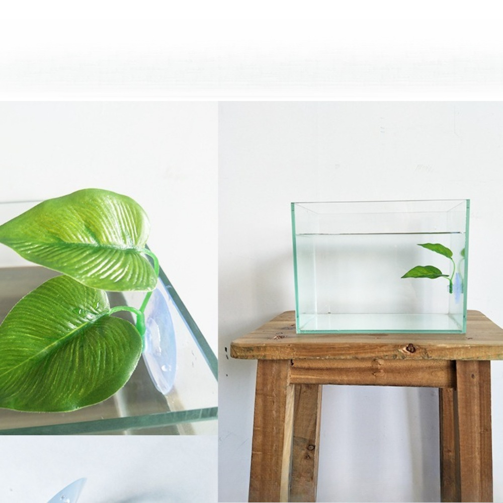 1/3/5/10 Betta Akvaryumu Yapay - Aquarium Planted Setup incelemesi ve fiyatı