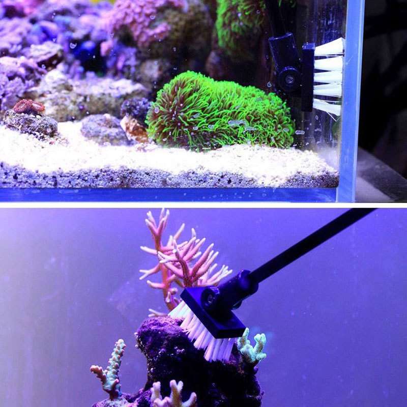 Balıkçılık Temizleme Fırçası B - Planted Aquarium Freshwater incelemesi ve fiyatı