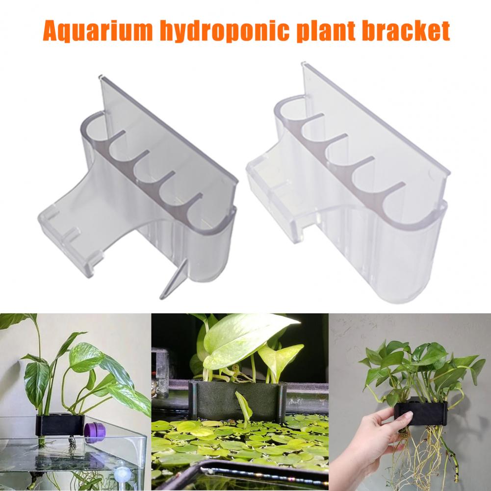 4.5/6.5cm akvaryum bitki tutuc - Planted Aquarium With Fish incelemesi ve fiyatı