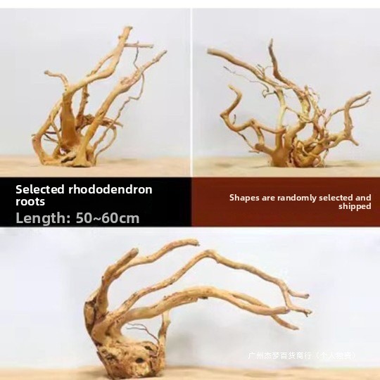 Akvaryum Balık Tankı Dekorasyo - Planted Aquarium With Fish incelemesi ve fiyatı