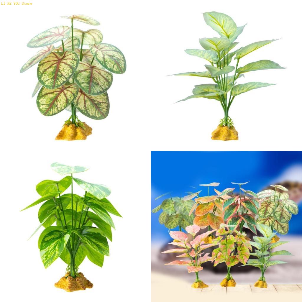 W3JE Sürüngenler Teraryumlar i - Planted Aquarium Jungle incelemesi ve fiyatı