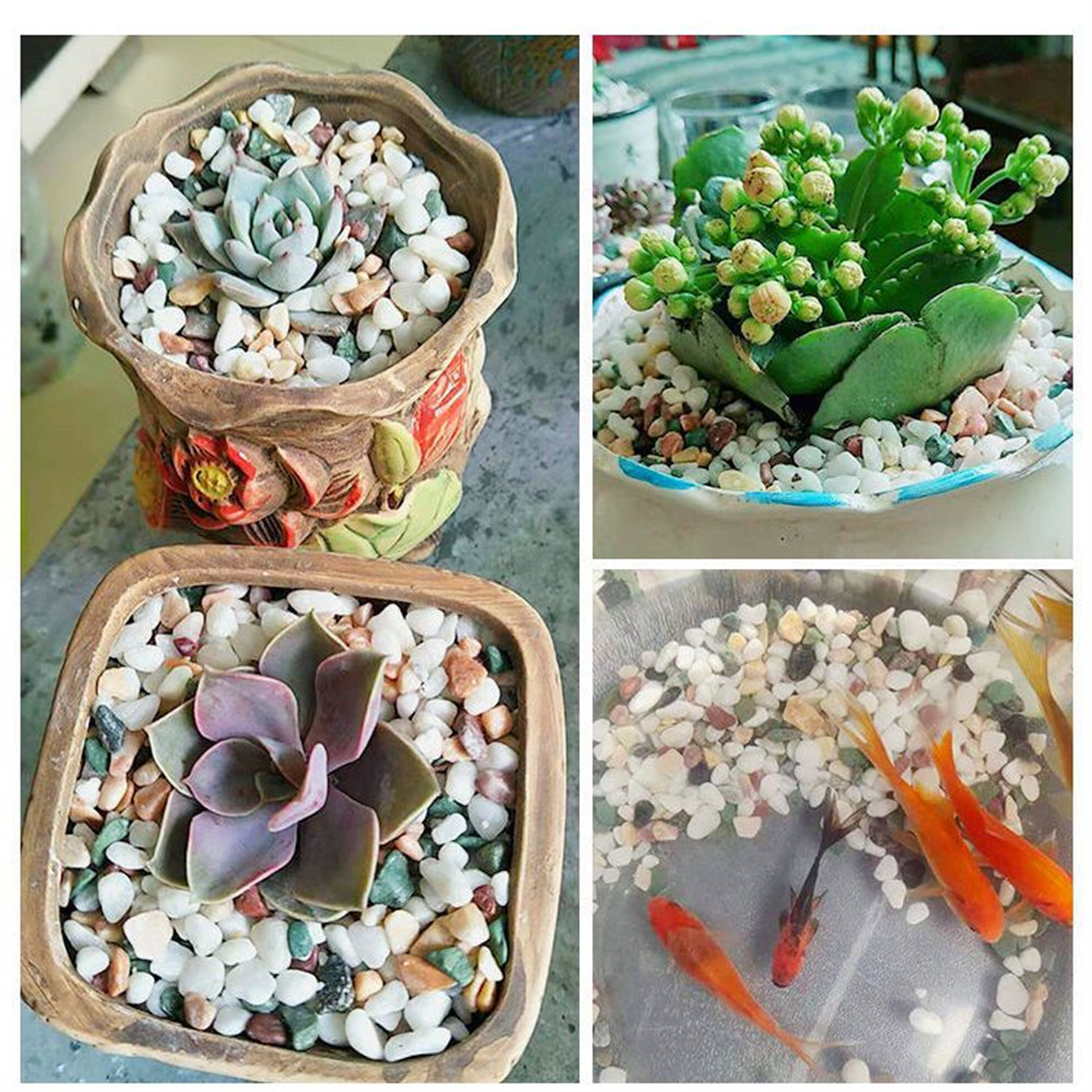 50/100g Doğal Kristaller çakıl - Planted Aquarium With Sand incelemesi ve fiyatı