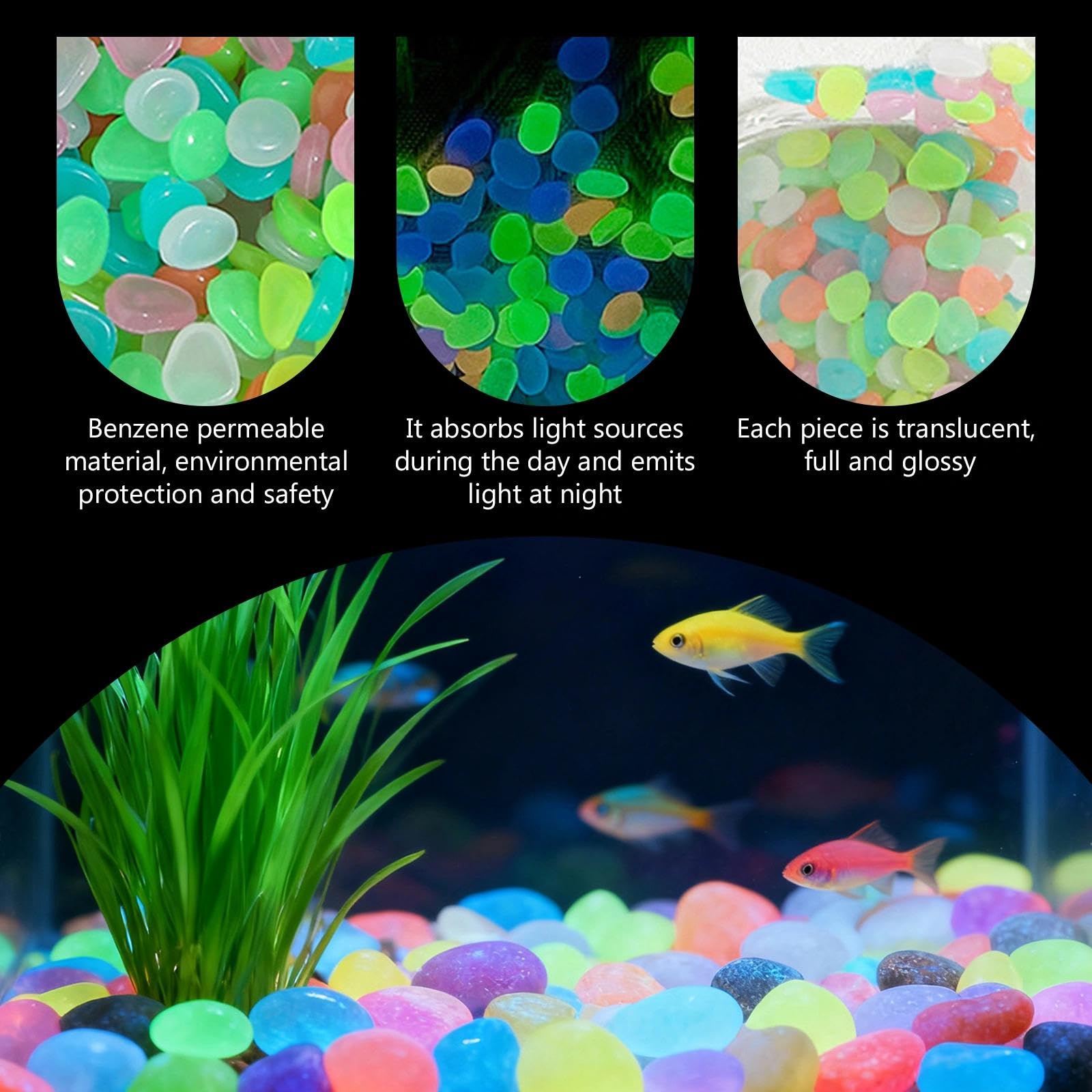 Saksı Bitkileri Karanlıkta Par - Aquarium Plants incelemesi ve fiyatı