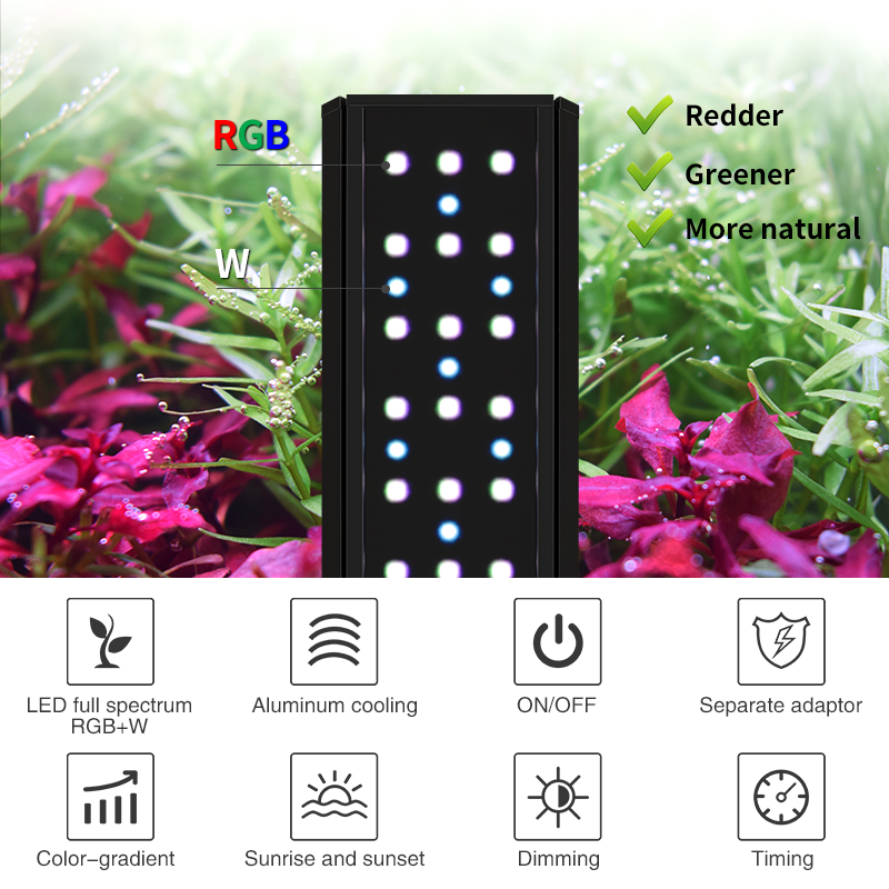 ZXY WEEK ADA Aynı Tip Su Gökyü - Planted Aquarium Ada incelemesi ve fiyatı