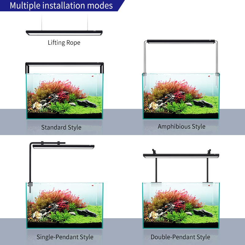 ZXY WEEK ADA Aynı Tip Su Gökyü - Planted Aquarium Ada incelemesi ve fiyatı