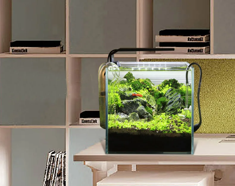 Spirürler C Serisi ADA Tarzı B - Planted Aquarium Ada incelemesi ve fiyatı