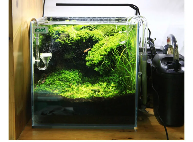Spirürler C Serisi ADA Tarzı B - Planted Aquarium Ada incelemesi ve fiyatı