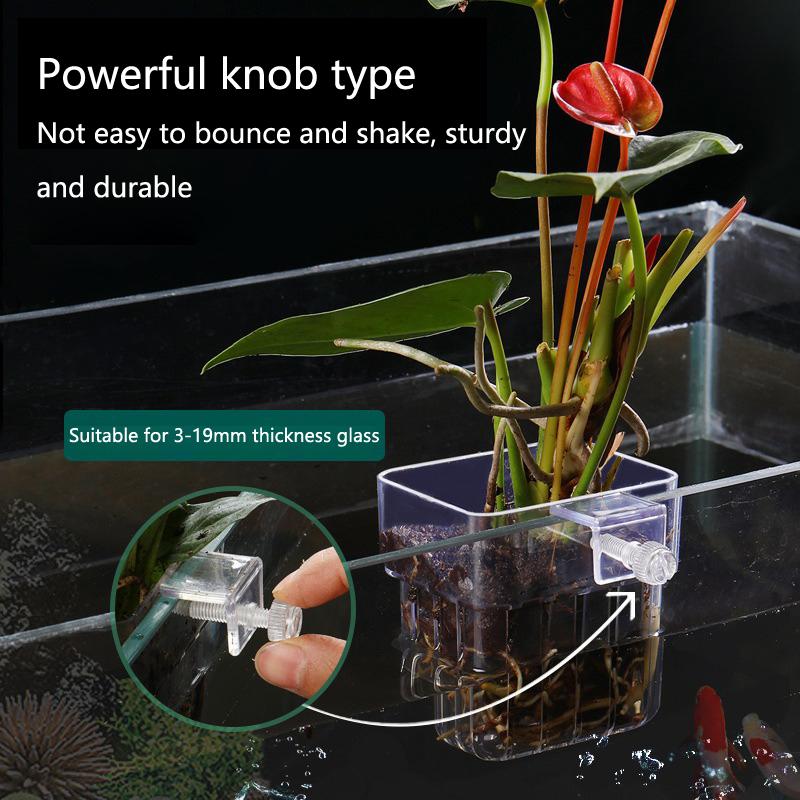 Akvaryum Hidroponik Dikim Kabı - Aquarium Planted Setup incelemesi ve fiyatı
