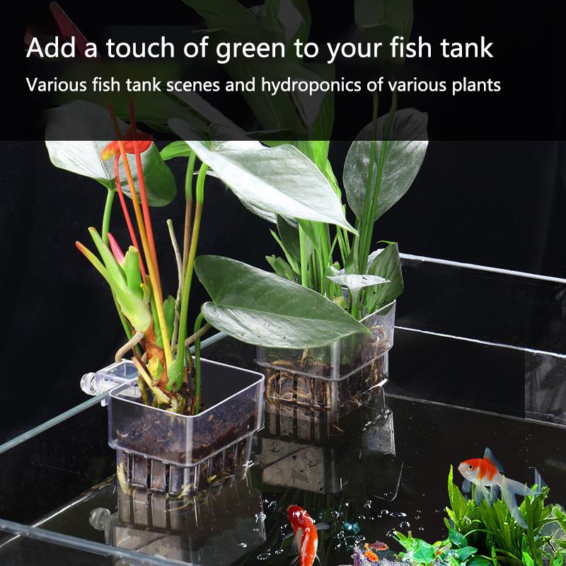 Akvaryum Hidroponik Dikim Kabı - Aquarium Planted Setup incelemesi ve fiyatı