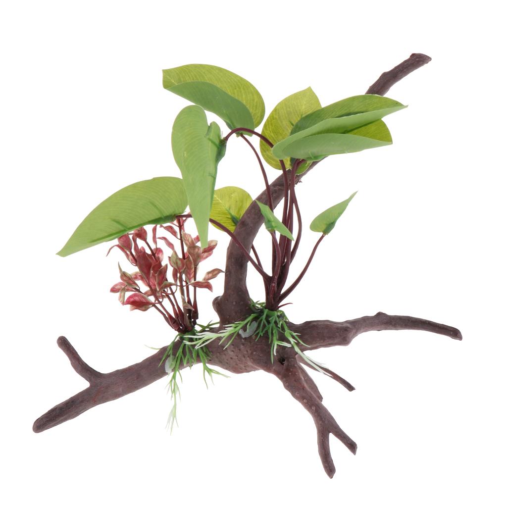 Sürüngen Teraryumu Bitkisi Yap - Planted Aquarium Jungle incelemesi ve fiyatı