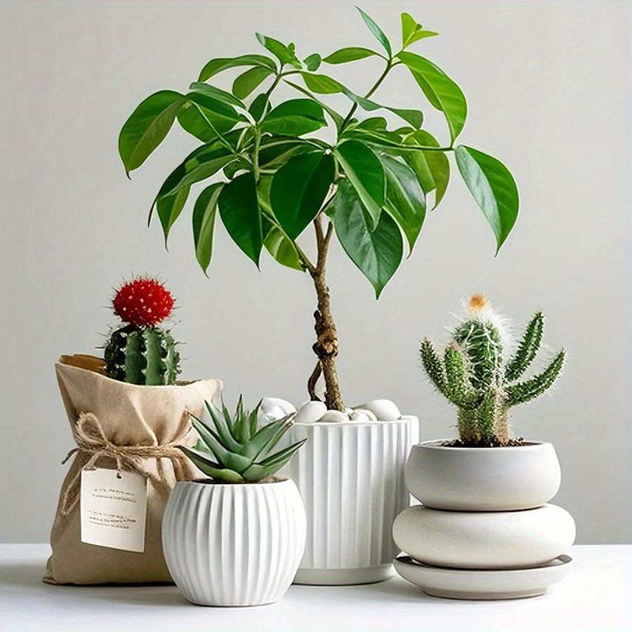 200/400g Beyaz Yüksek Parlaklı - Aquarium Plants incelemesi ve fiyatı