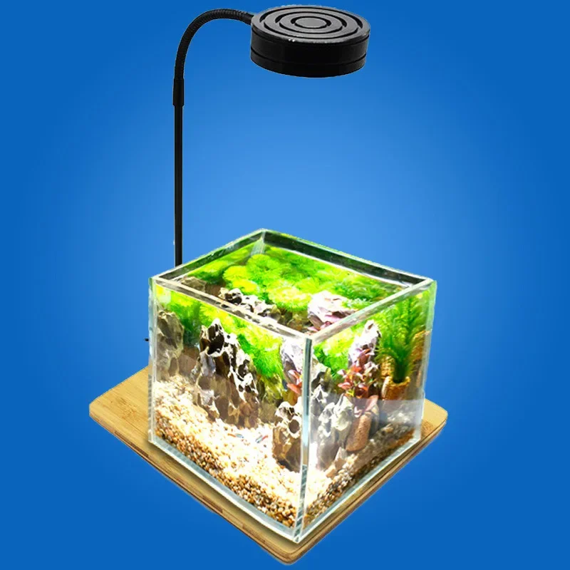 Bambu Tahtalı Mini LED Akvaryu - Planted Aquarium Freshwater incelemesi ve fiyatı