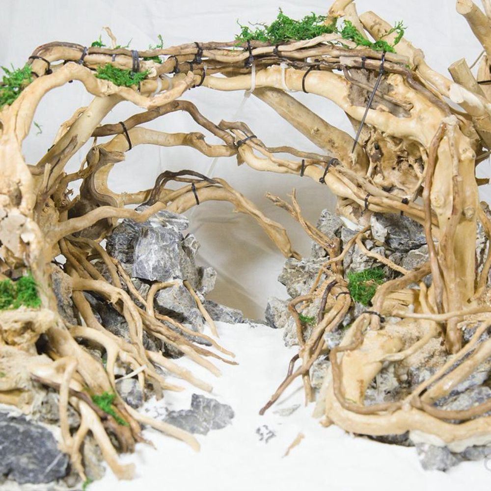 Ahşap N1N Peyzaj Akvaryum Deko - Planted Aquarium With Driftwood incelemesi ve fiyatı