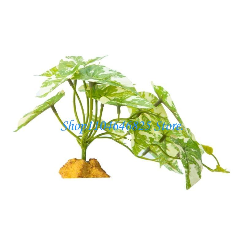 Akvaryumlar Sürüngenler Orman  - Planted Aquarium Jungle incelemesi ve fiyatı