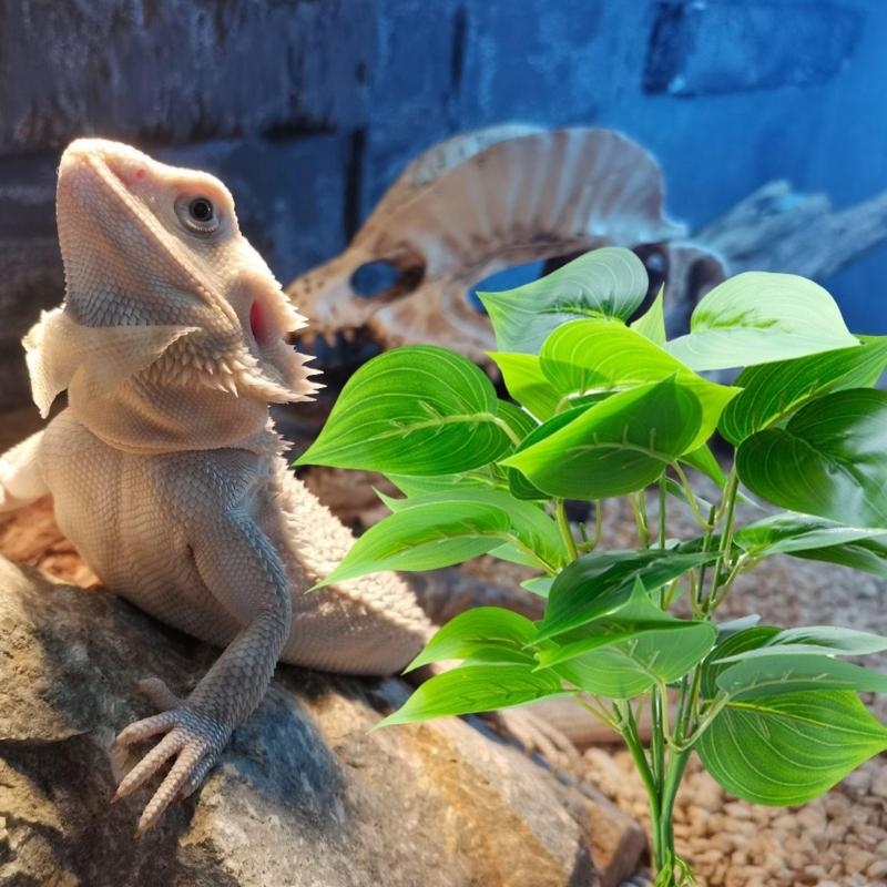 Yapay Asma Bitki Balık Akvaryu - Planted Aquarium With Fish incelemesi ve fiyatı