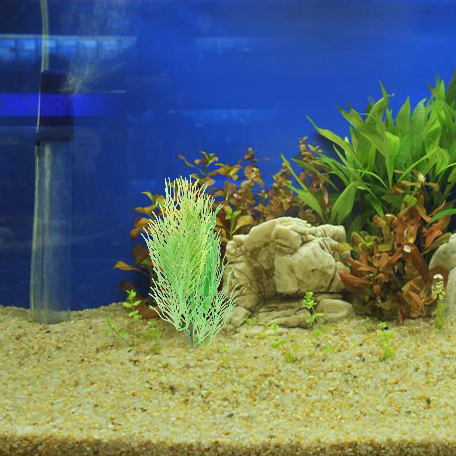 Simüle Edilmiş Hornwort Akvary - Aquarium Planted Setup incelemesi ve fiyatı