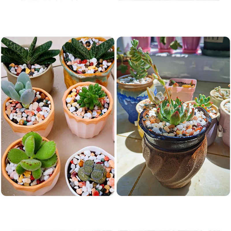 Doğal Çakıl Taşı 200 ~ 1000g M - Planted Aquarium With Gravel incelemesi ve fiyatı