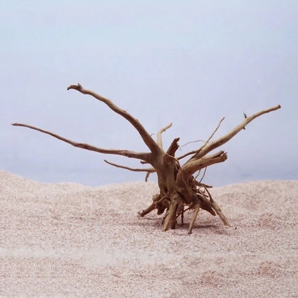 Doğal Ağaç Gövdesi Driftwood A - Planted Aquarium With Driftwood incelemesi ve fiyatı
