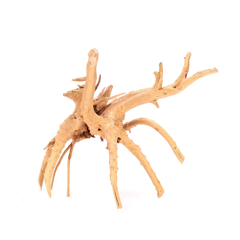 4 Adet Doğal Ahşap Balık Tankı - Planted Aquarium With Driftwood incelemesi ve fiyatı