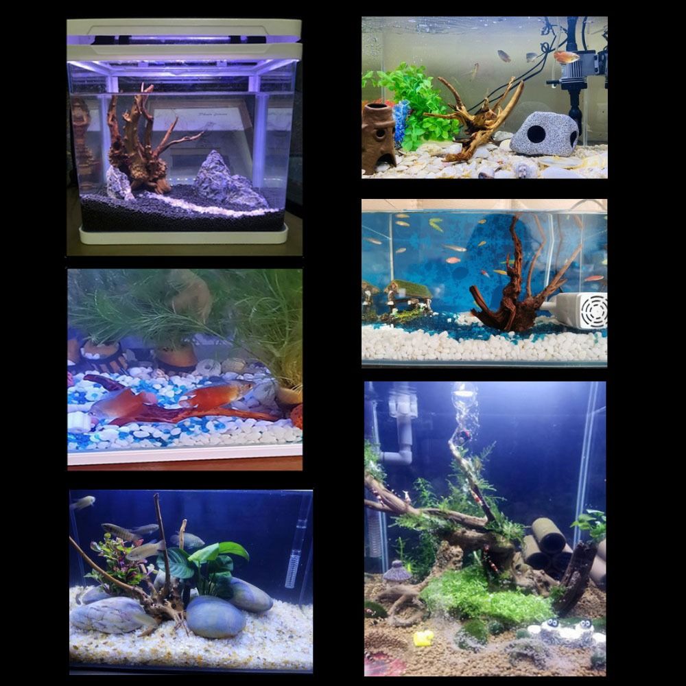 20-25CM Büyük Akvaryum Driftwo - Planted Aquarium With Driftwood incelemesi ve fiyatı