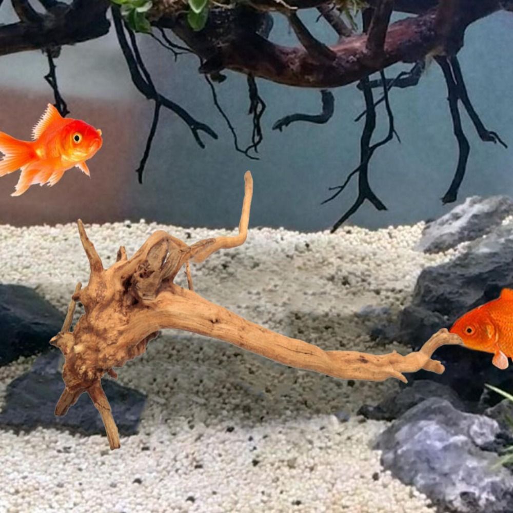 20-25CM Büyük Akvaryum Driftwo - Planted Aquarium With Driftwood incelemesi ve fiyatı