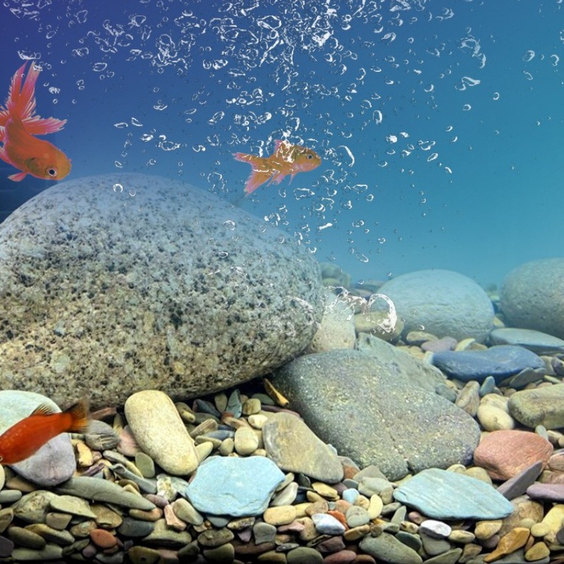 Akvaryum Taban Kumu Doğal Su P - Planted Aquarium With Sand incelemesi ve fiyatı