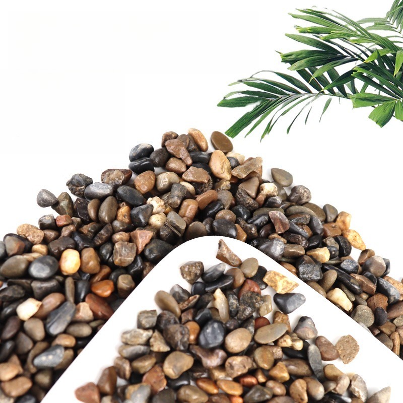 Akvaryum Taban Kumu Doğal Su P - Planted Aquarium With Sand incelemesi ve fiyatı