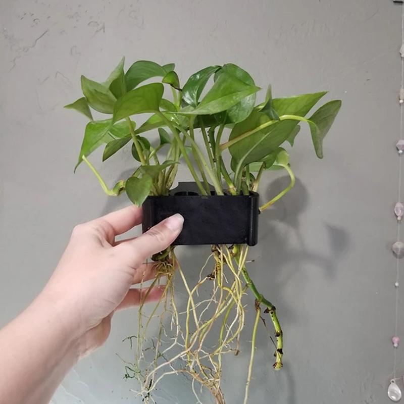 1 2 3 Adet Akvaryum Bitki Dest - Aquarium Planted Setup incelemesi ve fiyatı